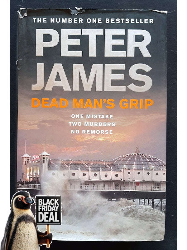 Dead Man'S Grip (Roy Grace #7) (James, Peter)