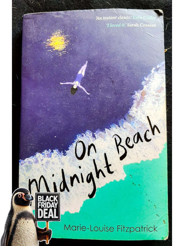 On Midnight Beach (Marie-Louise Fitzpatrick)