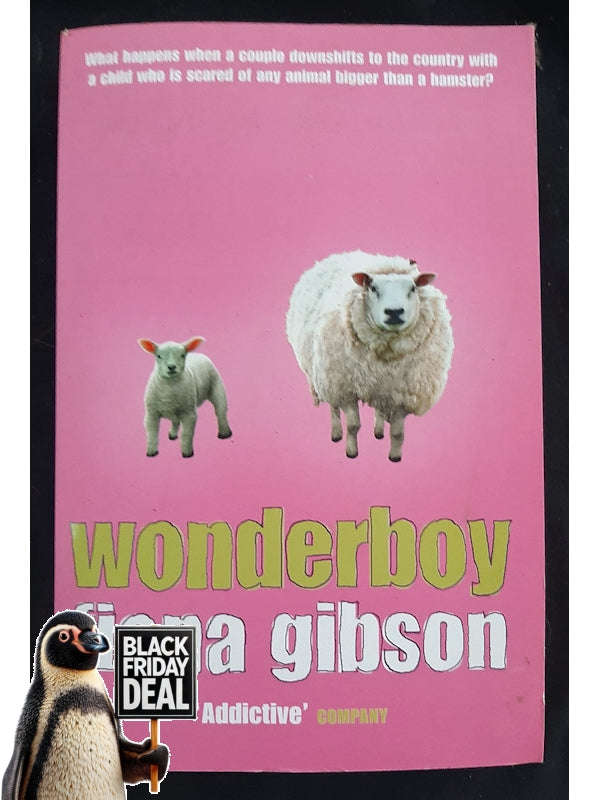 Wonderboy (Gibson, Fiona)