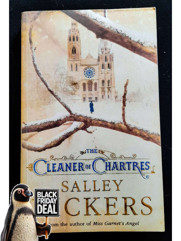 The Cleaner Of Chartres (Vickers, Salley)
