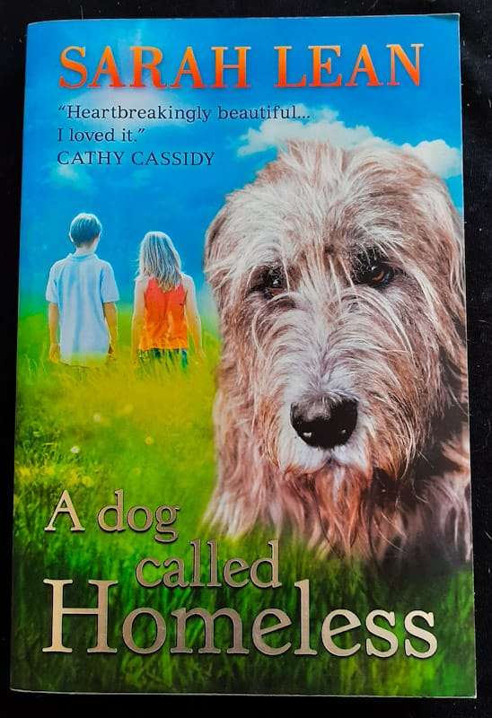 A Dog Called Homeless (Sarah Lean)