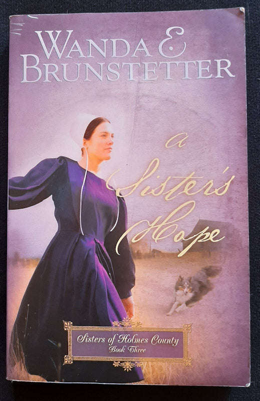 A Sister's Hope (Sisters of Holmes County #3) (Wanda Brunstetter)