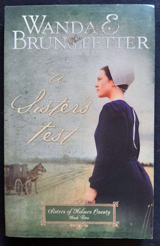 A Sister's Test (Sisters of Holmes County #2) (Wanda Brunstetter)