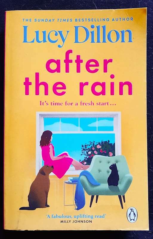 After The Rain (Lucy Dillon)