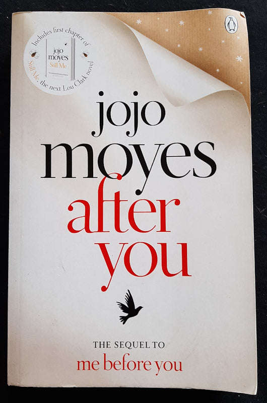 After You (Me Before You #2)