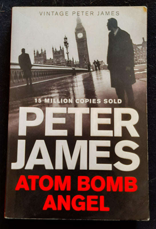 Atom Bomb Angel (Max Flynn #2) (Peter James)