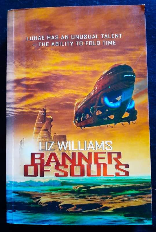 Banner Of Souls (Liz Williams)