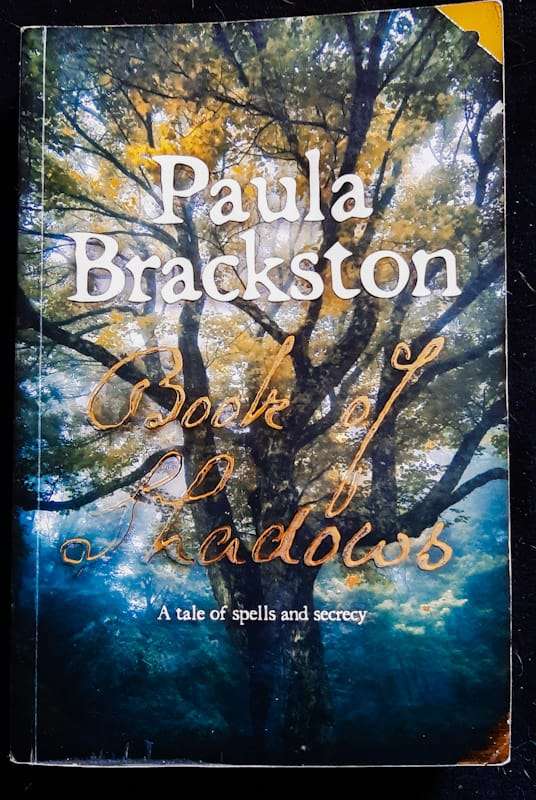 Book Of Shadows (The Witch's Daughter #1) (Paula Brackston)