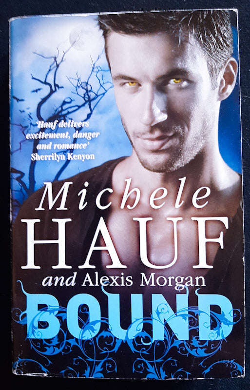 Bound (Vampire #2) (Michele Hauf)