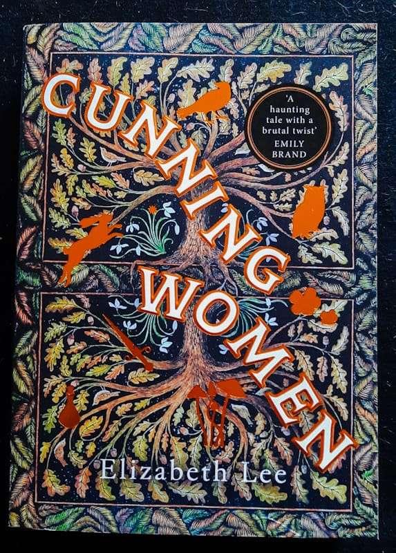 Cunning Women : When Women Are Cast Out, They Must Find Their Own Power (Elizabeth Lee)