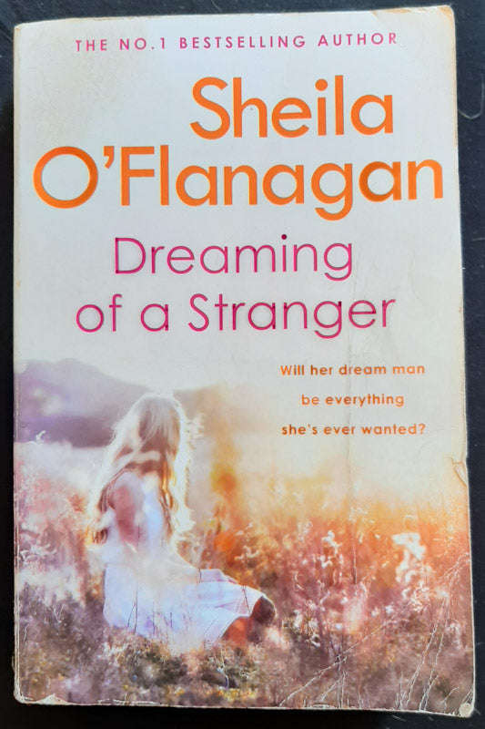 Dreaming Of A Stranger (Sheila O'Flanagan)