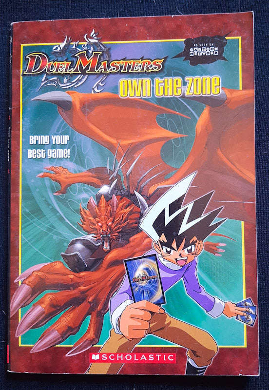 Own the Zone (Medium Paperback)
