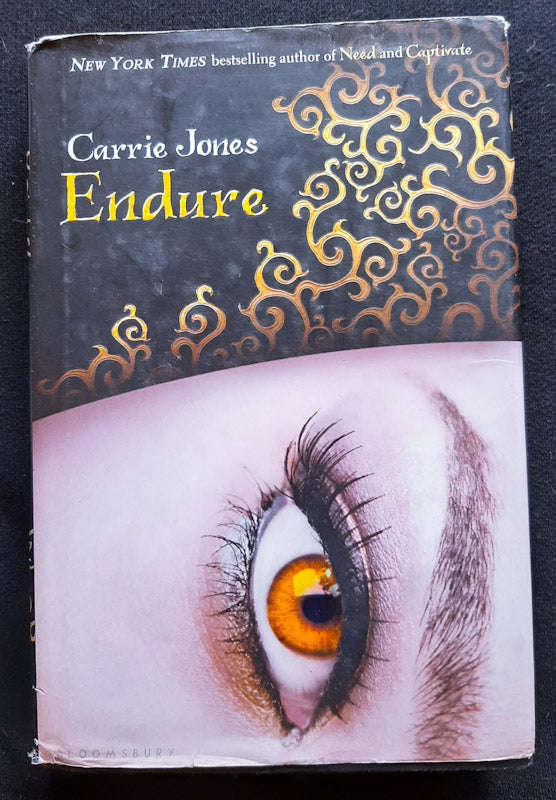 Endure (Need #4) (Carrie Jones)