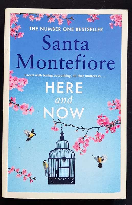 Here And Now (Santa Montefiore)