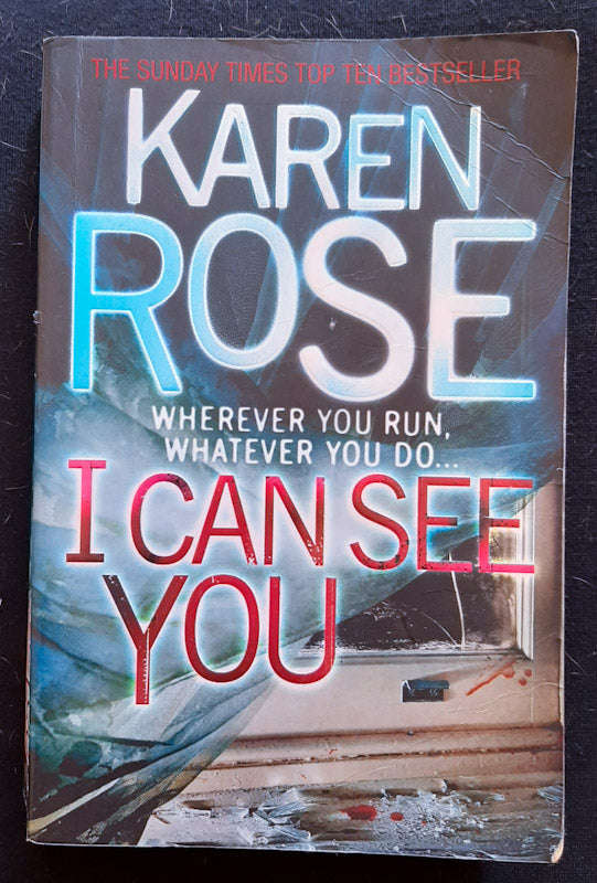 I Can See You (Romantic Suspense #10) (Karen Rose)