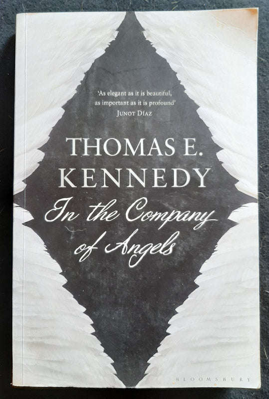 In the Company of Angels (Thomas E. Kennedy)