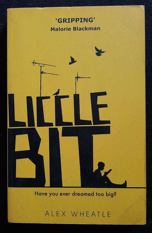 Liccle Bit (South Crongton Quartet #1) (Alex Wheatle)