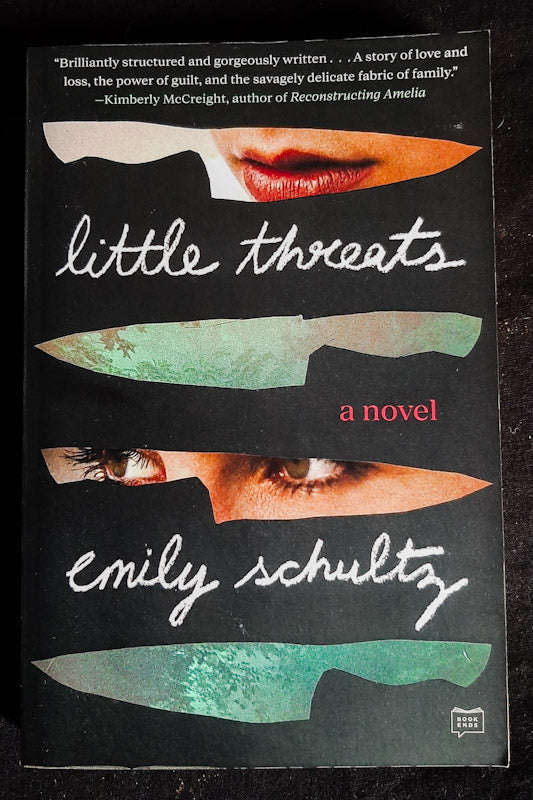 Little Threats (Emily Schultz)
