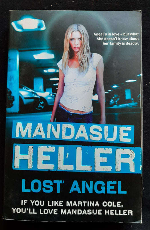 Lost Angel (Mandasue Heller)