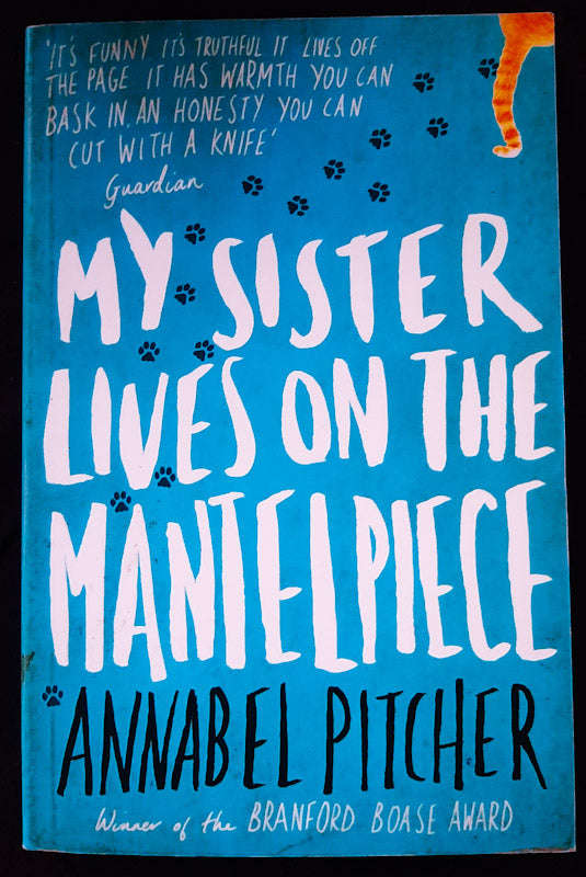 My Sister Lives On The Mantelpiece (Annabel Pitcher)
