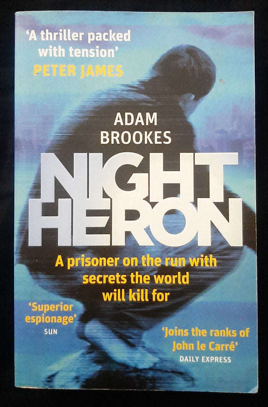 Night Heron (Philip Mangan #1) (Adam Brookes)