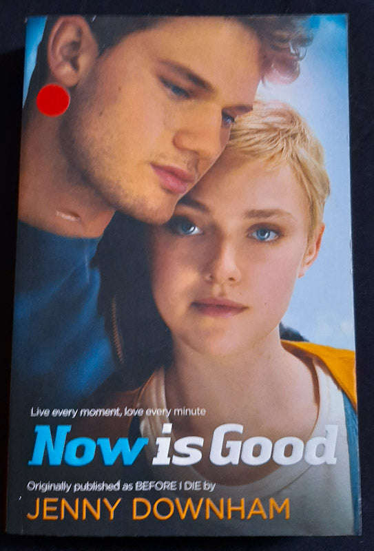 Now Is Good (Jenny Downham)