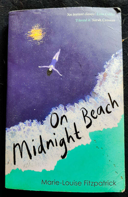 On Midnight Beach (Marie-Louise Fitzpatrick)