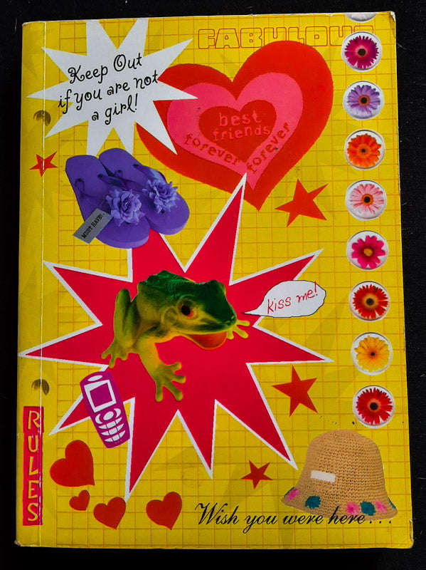 Moving Day (Allie Finkle'S Rules For Girls #1) (Meg Cabot)