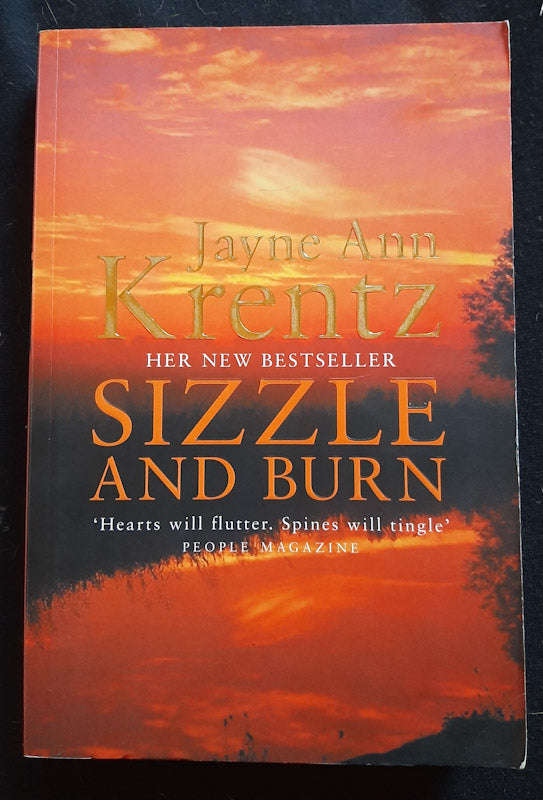 Sizzle and Burn (Arcane Society #3) (Jayne Ann Krentz)