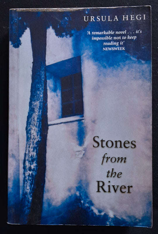 Stones From The River (Burgdorf Cycle #1) (Ursula Hegi)