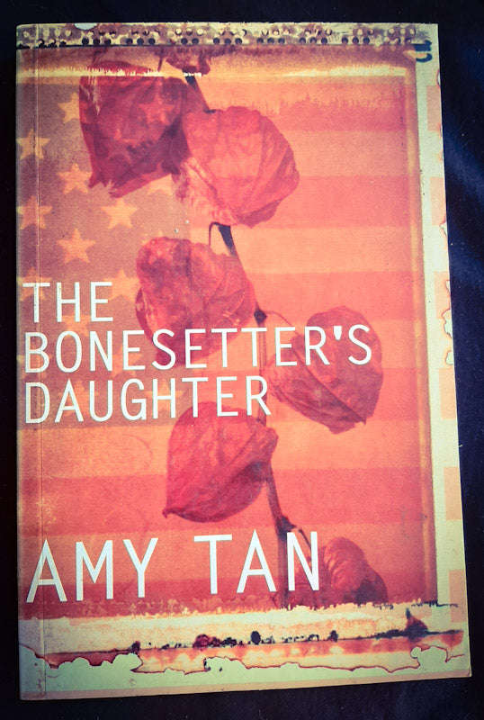 The Bonesetter's Daughter (Amy Tan)