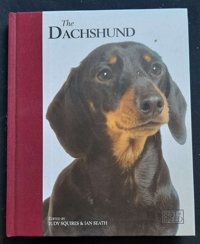 The Dachshund (Judy Squires)