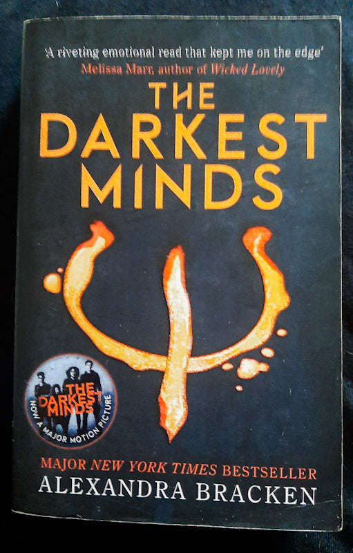 The Darkest Minds (The Darkest Minds #1) (Alexandra Bracken)