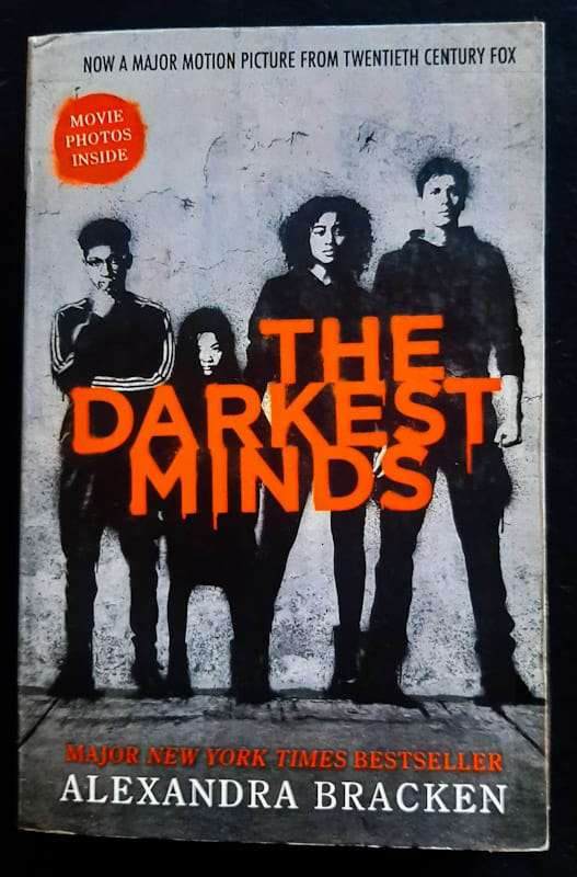 The Darkest Minds (The Darkest Minds #1) (Alexandra Bracken)