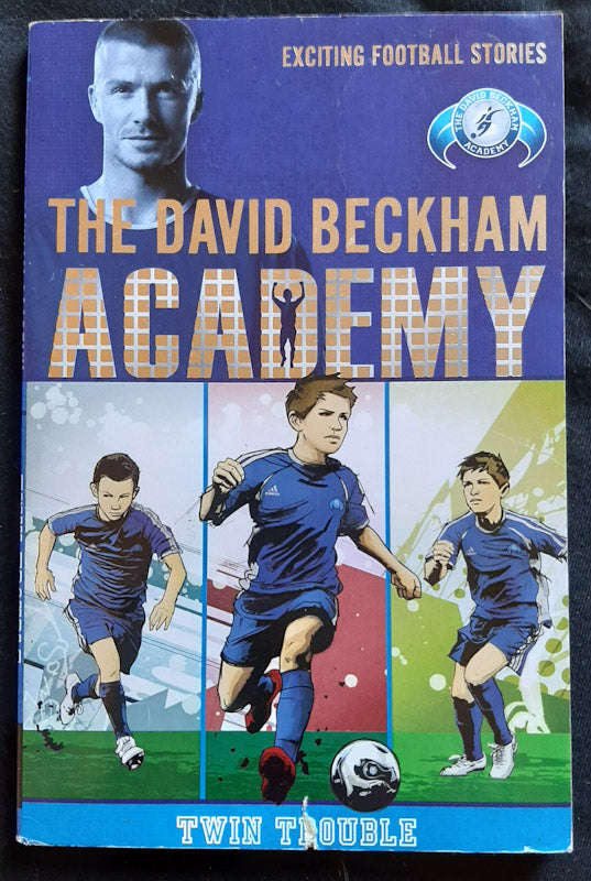 Twin Trouble (The David Beckham Academy #1) (Barry Hutchinson)