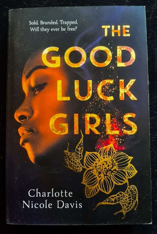 The Good Luck Girls (The Good Luck Girls #1) (Charlotte Nicole Davis)