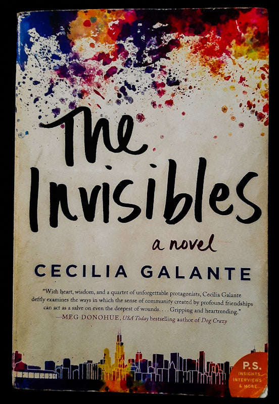 The Invisibles: A Novel (Cecilia Galante)