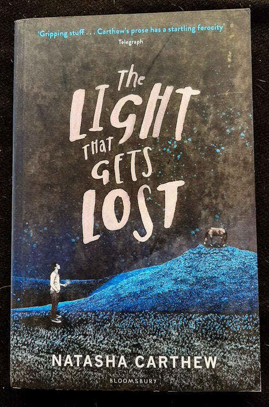 The Light that Gets Lost (Natasha Carthew)