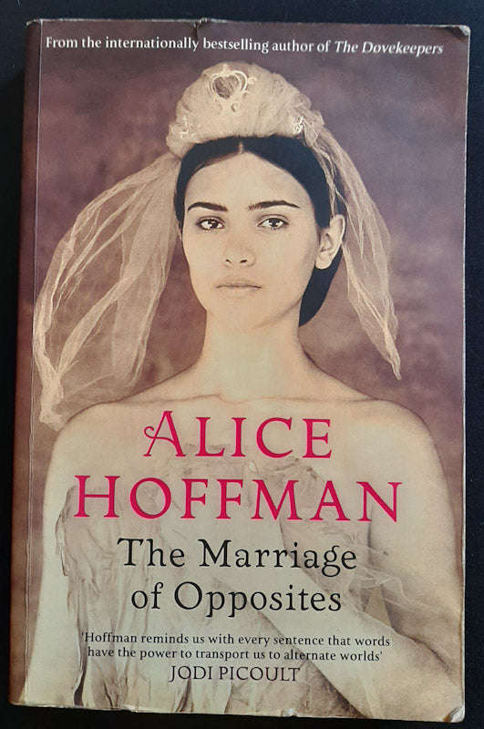 The Marriage of Opposites (Alice Hoffman)