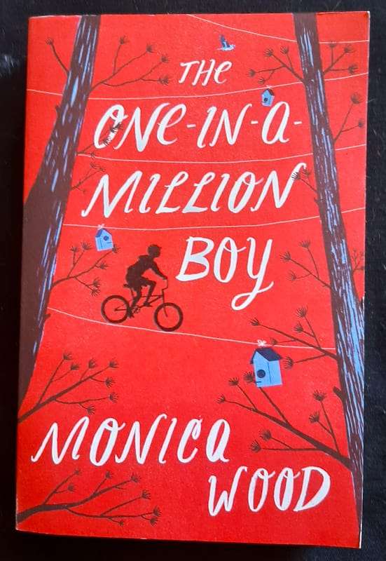 The One-in-a-Million Boy (Monica Wood)