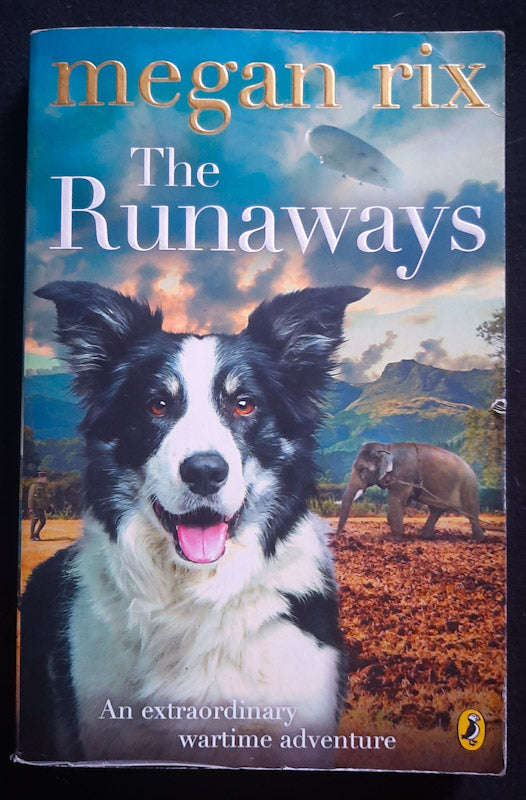 The Runaways (Megan Rix)