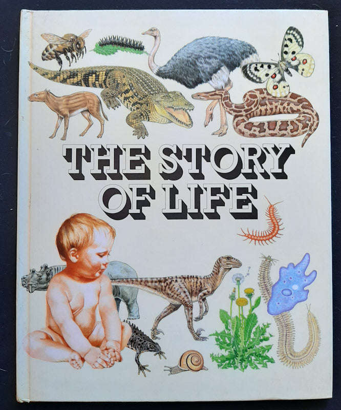 The Story of Life (Extra Large Hardcover)