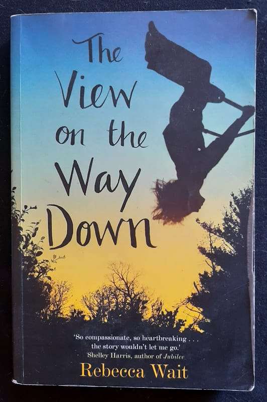 The View on the Way Down (Rebecca Wait)