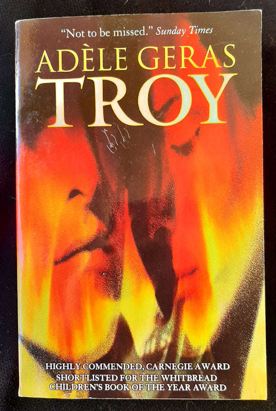 Troy (Adele Geras)