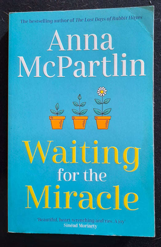Waiting For The Miracle (Anna Mcpartlin)