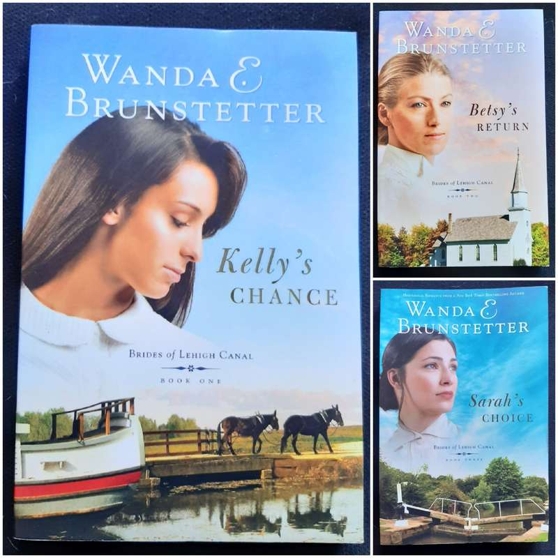Brides of Lehigh Canal #1-3 (Wanda Brunstetter)