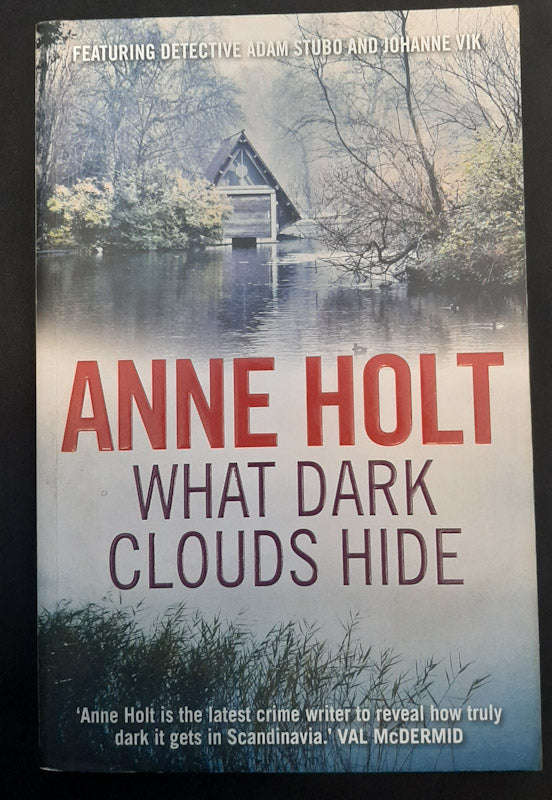 What Dark Clouds Hide (Vik & Stub #5) (Anne H