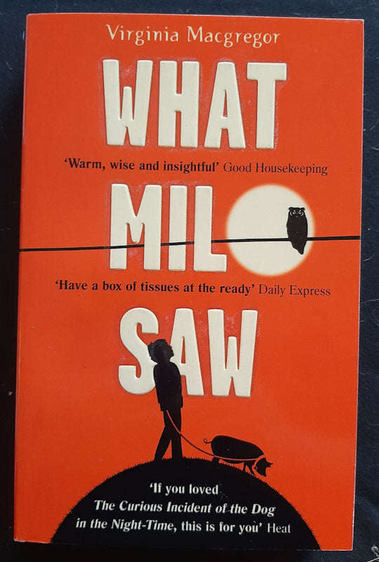 What Milo Saw (Virginia Macgregor)
