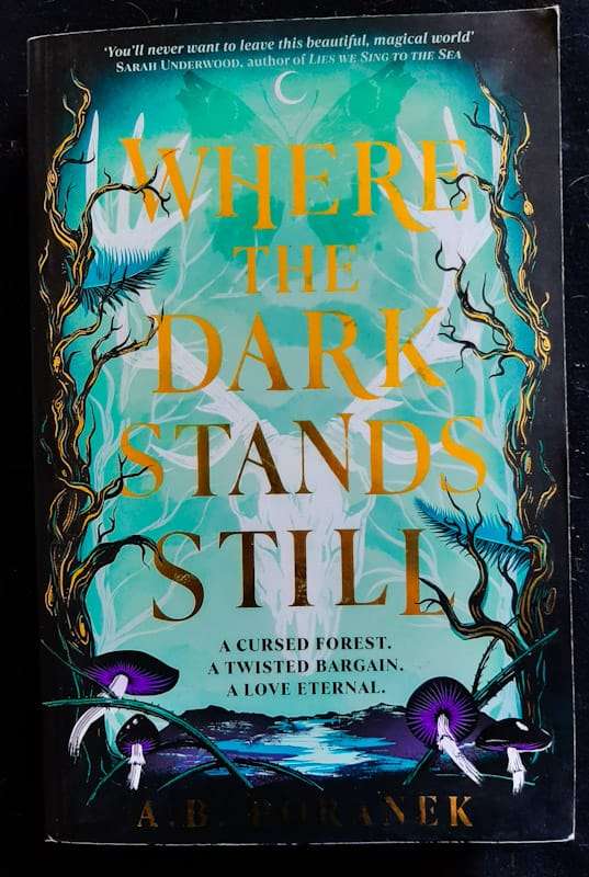 Where The Dark Stands Still (A.B. Poranek)