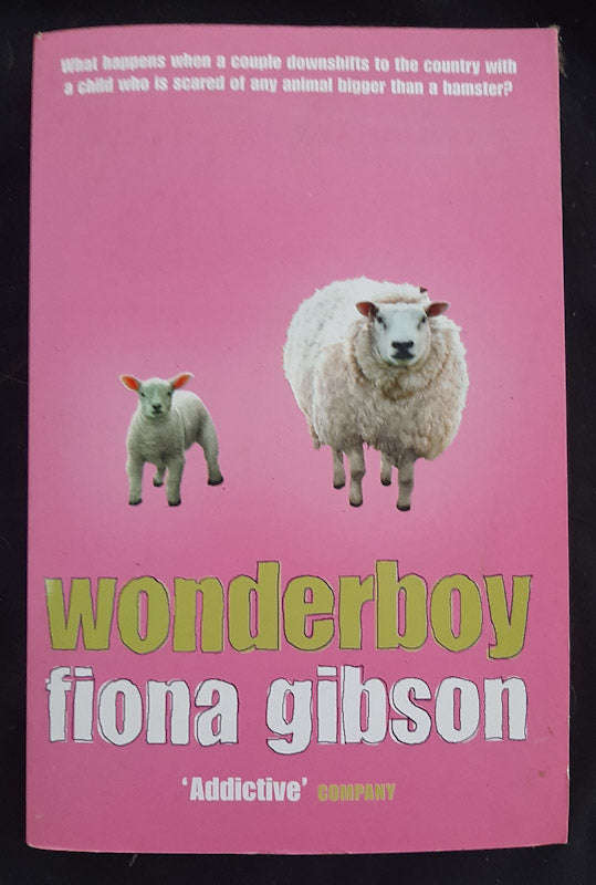Wonderboy (Fiona Gibson)
